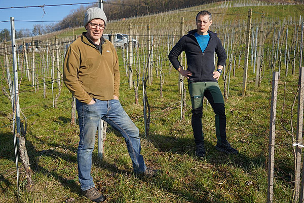 Zwei Männer stehen in einem Weinberg.