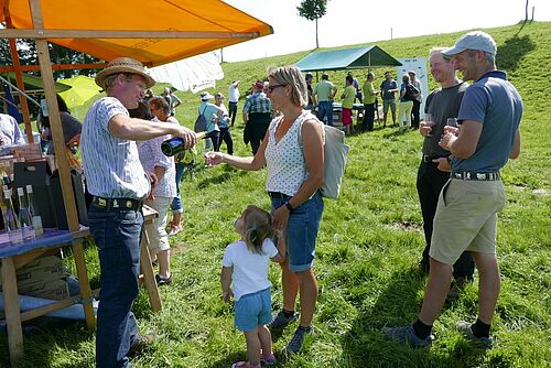 Weindegustation auf der grünen Wiese