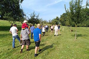 Eine Gruppe Menschen, von hinten fotografiert, laufen über eine Wiese durch junge Obstbaumreihen. 