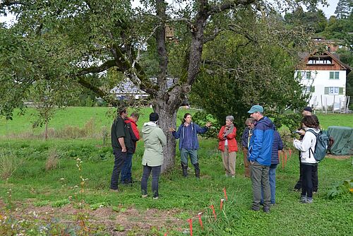 Eine Gruppe Personen steht vor einem grossen alten Obstbaum, eine Frau gestikuliert und erklärt.  