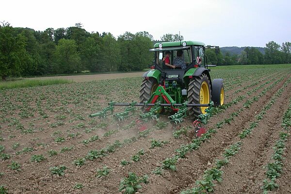 Traktor mit Sternhacke im Feld