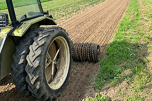 gruener Traktor mit einer Cambridgewalze auf einem Ackerfeld