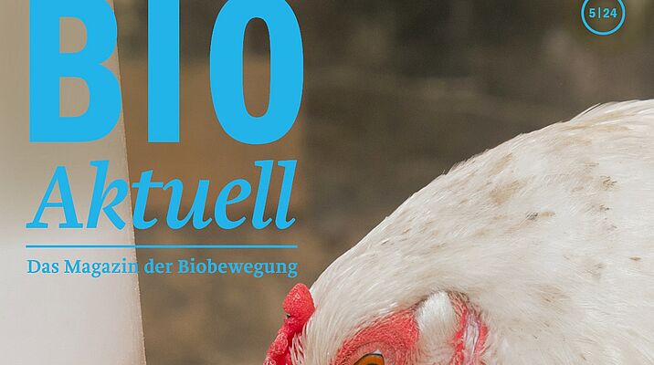Titelseite Bioaktuell 5|24: Nahaufnahme eines Huhns an einem Futterautomaten. 