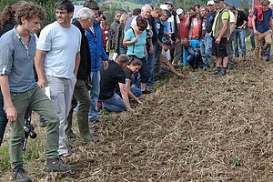 Studierende stehen vor einem Feld und betrachten den Boden.