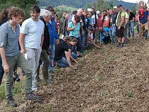 Studierende stehen vor einem Feld und schauen den Boden an.