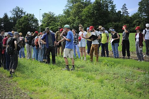 Eine Gruppe von Menschen steht auf einem Feld mit grünen Kichererbsenpflanzen und hört einem Bauern zu.