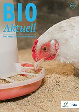 Titelseite Bioaktuell 5|24: Nahaufnahme eines Huhns an einem Futterautomaten. 