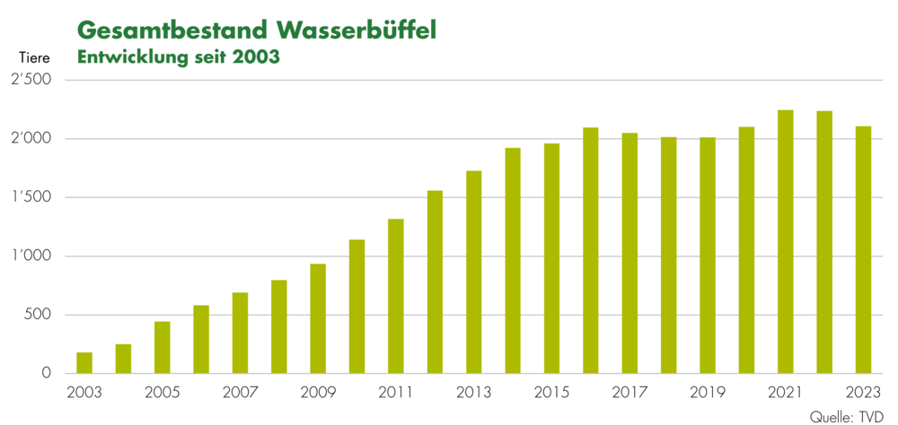 Gesamtbestand Bio-Wasserbüffel 2023