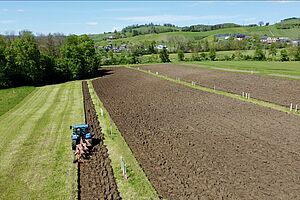 Ein Traktor pflügt streifenweise zwischen grünen Baumreihen mit sichtbaren Pflanzröhren. 