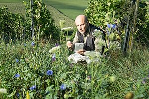 Ein Mann beobachtet Pflanzen und Insekten in einer blumenreichen Wiese kauernd. 