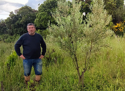 Alain Malard posiert in den Weinbergen.