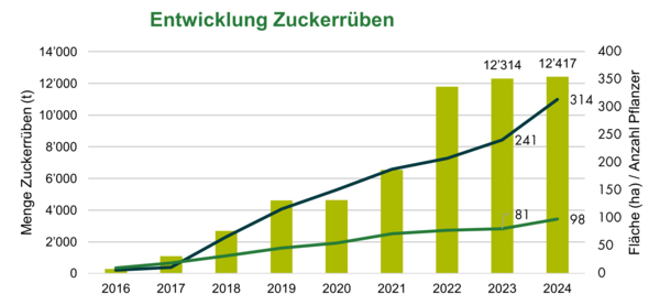 Grafik Entwicklung Biozuckerrüben 2024