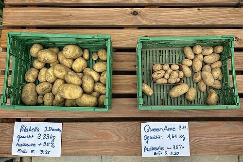 Zwei Plastickisten mit Kartoffeln drin, dazu zwei Zettel mit dem Beschrieb des Inhalts.