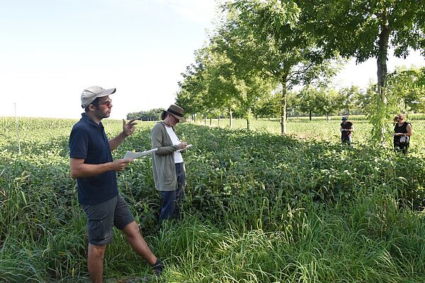 Mehrere Personen stehen in einem Feld entlang einer Reihe grosser junger Walnussbäume. Ein Mann spricht und gestikuliert.