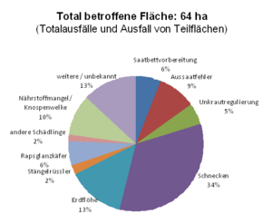 Grafik Flächenausfälle im Schweizer Biorapsanbau 2007