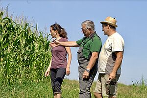Drei Menschen stehen vor einem Maisfeld, eine Person zeigt auf die Kultur und erklärt den anderen beiden etwas.