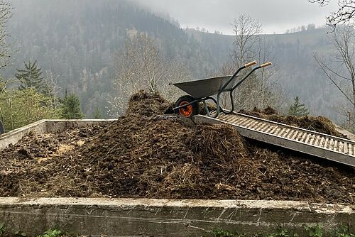 In einer betonumfassten Lagerstätte ist ein Haufen Mist, auf dem ein Schubkarren steht. 