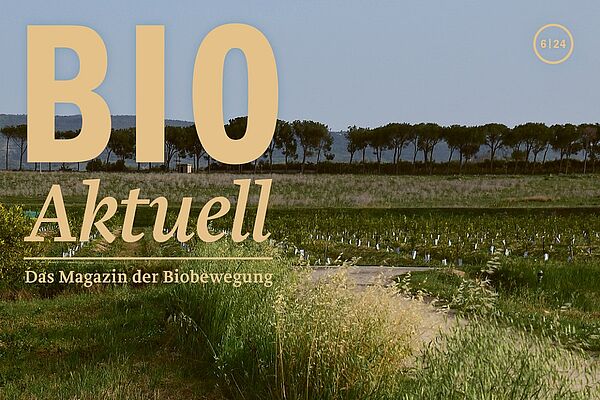 Titelseite Bioaktuell 6|24: Ein Feld mit zwei Wasserrohren, die aus der Erde ragen.