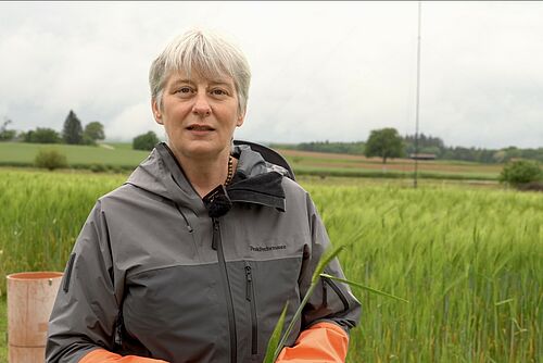 Eine Frau steht in Arbeitskleidung auf einem Getreidefeld und hält eine Ähre in der Hand.