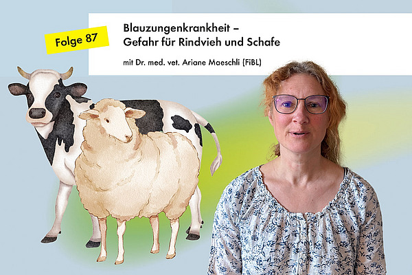 Portrait einer Frau mit Zeichnung einer Kuh und eines Schafs daneben.