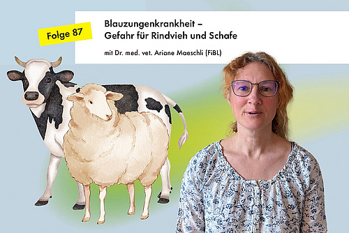 Portrait einer Frau mit Zeichnung einer Kuh und eines Schafs daneben.