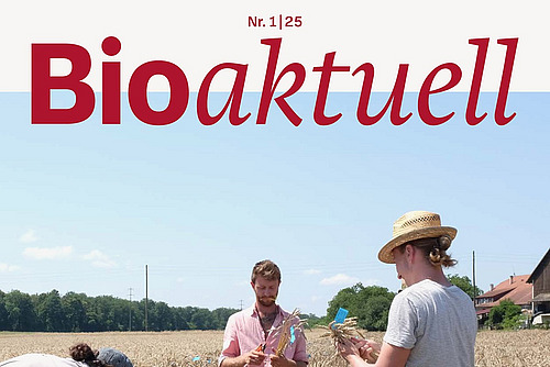 Titelseite Bioaktuell 1|25: Drei Personen in einem Getreidefeld.