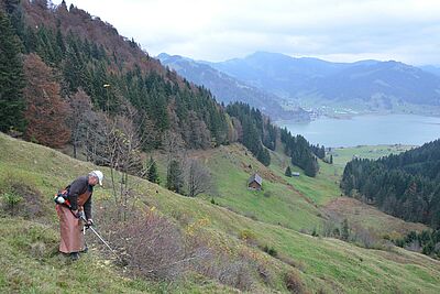 Mann mit Motorsense am steilen Hang