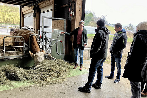 Person steht neben einer Kuh und präsentiert einer Gruppe Teilnehmender das spezielle Fressgiter für die Hoftötung.