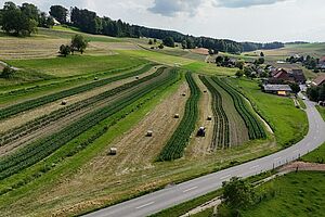 Feld mit verschiedenen Kulturen wie Kartoffeln und Getreide in schmalen Streifen.