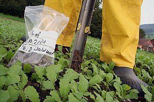 Bodenspaten zieht Erde aus dem Boden, daneben Plastiktüte mit Erdprobe.