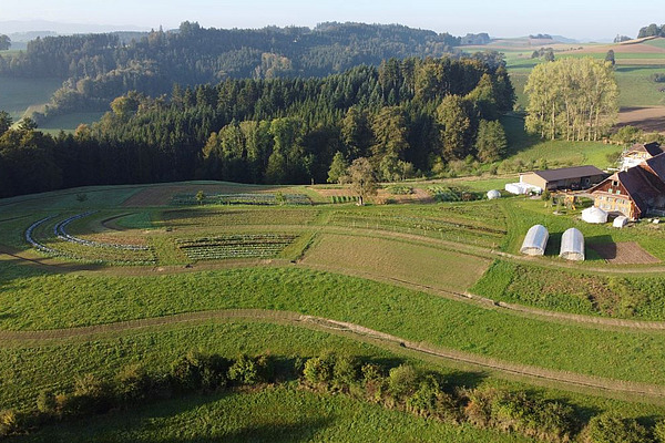 Hof mit parallel zum Hang verlaufenden Landschaftselementen.