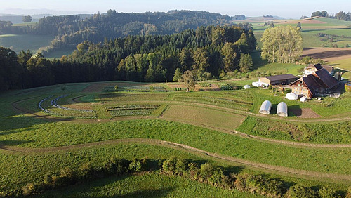 Hof mit parallel zum Hang verlaufenden Landschaftselementen.