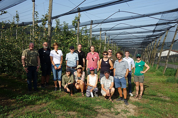 Europäische Obstbau-Berater*innen zu Besuch am FiBL Gruppe in einer Obstanlage.