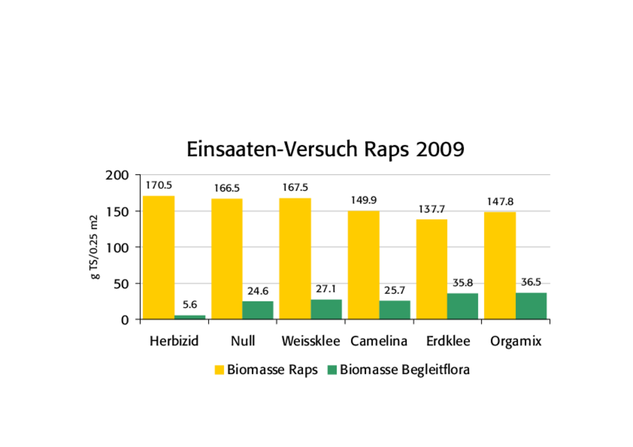 Grafik zu Einsaatenversuch in Raps